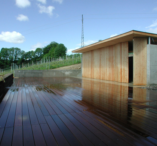 inch-lab-completed-summer-cottage-switzerland-2